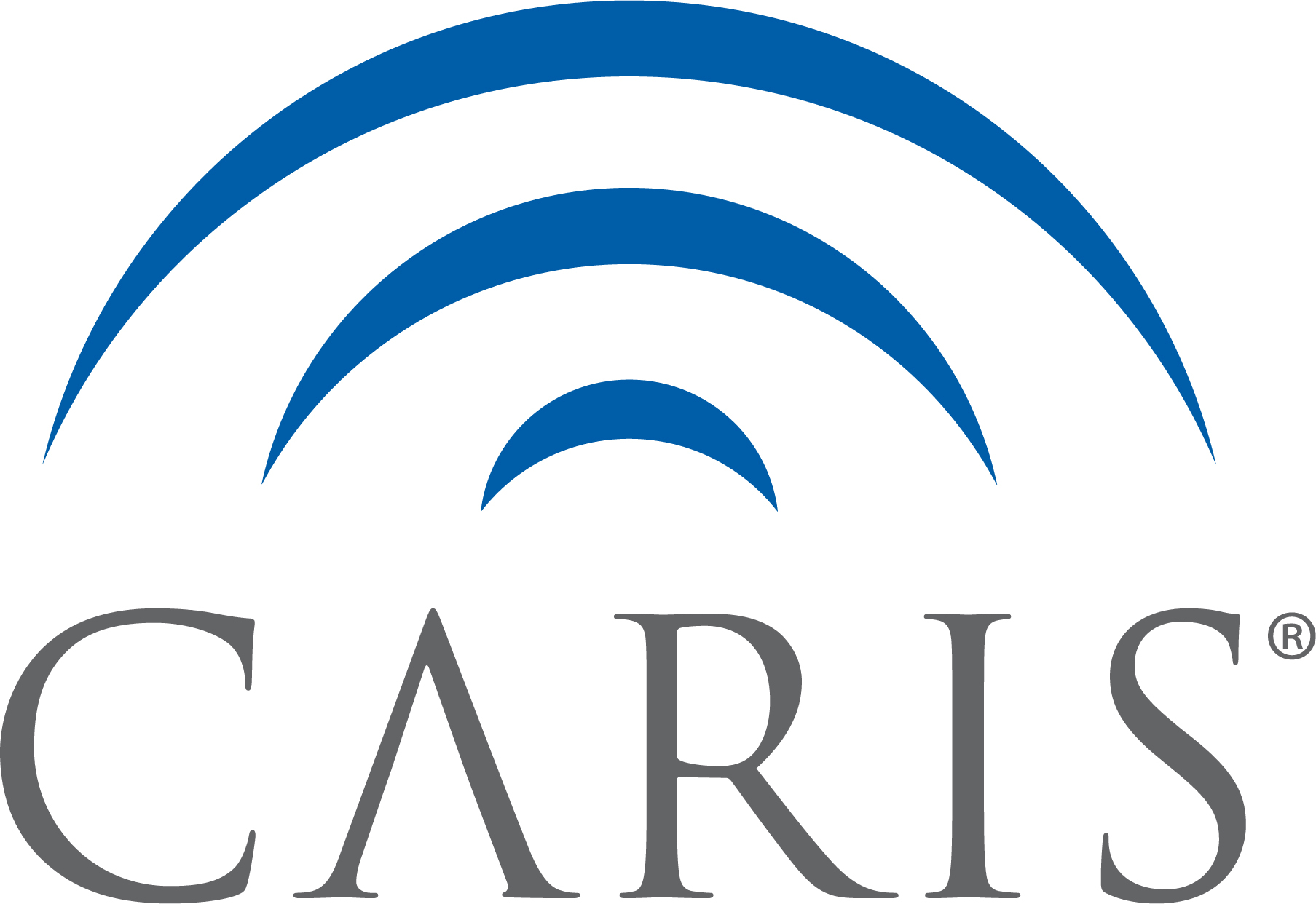 Caris LS Color Primary Logo