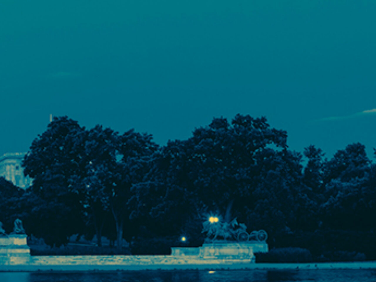 AACI Public Policy Header