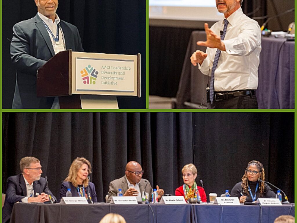 Leadership Diversity and Development Initiative Conducts First Workshop