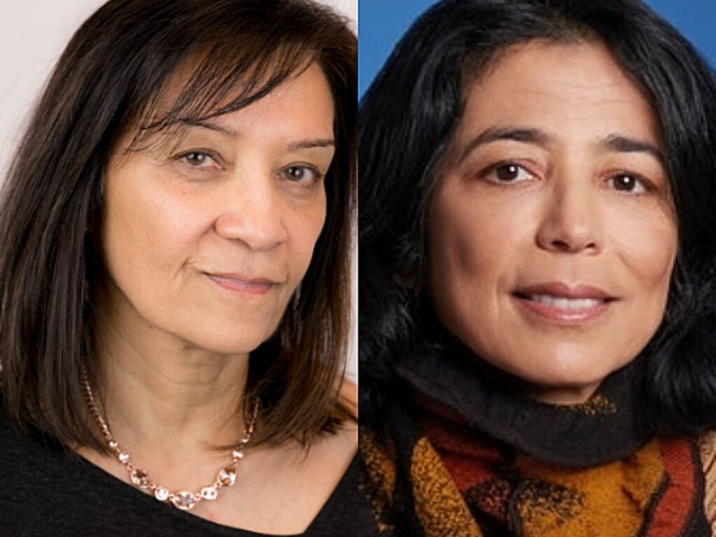 Bhardwaj Merad Named Academy of Immuno Oncology Fellows