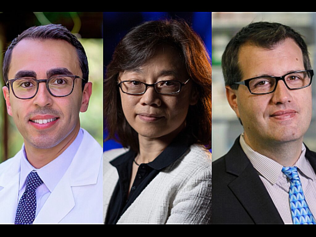 Three Researchers Join UCLA to Propel Cancer Research Innovation