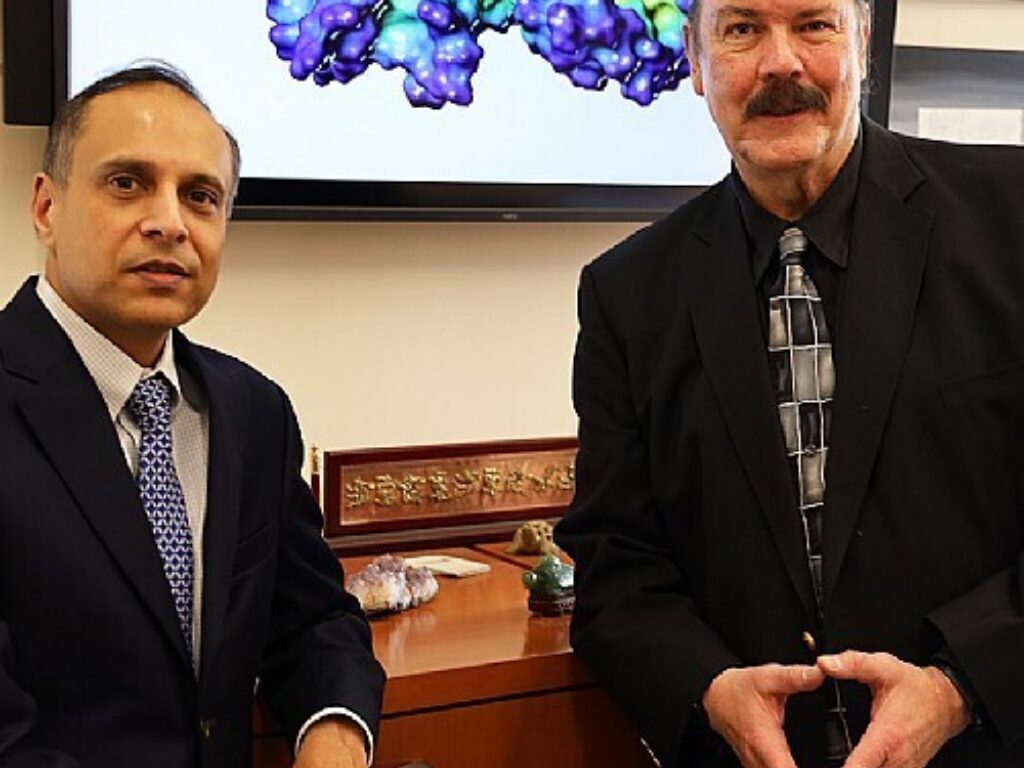 2 6 Million Awarded to Develop Novel Therapies for Liver Cancer