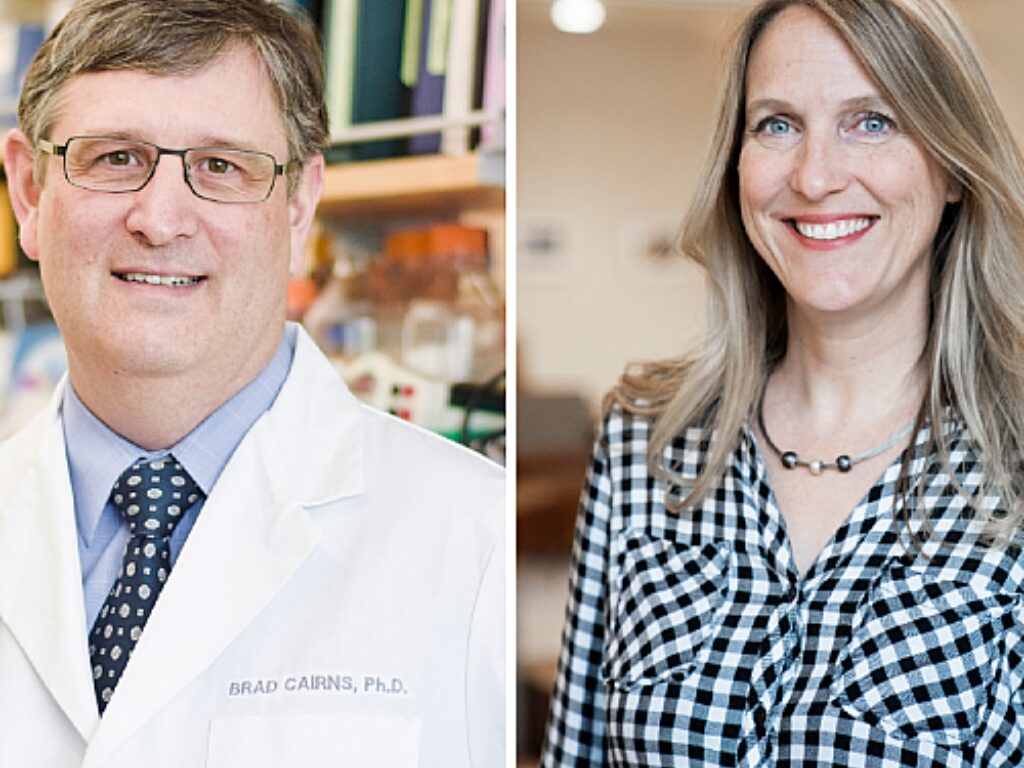 Chief Academic Officer Senior Director of Basic Science Named