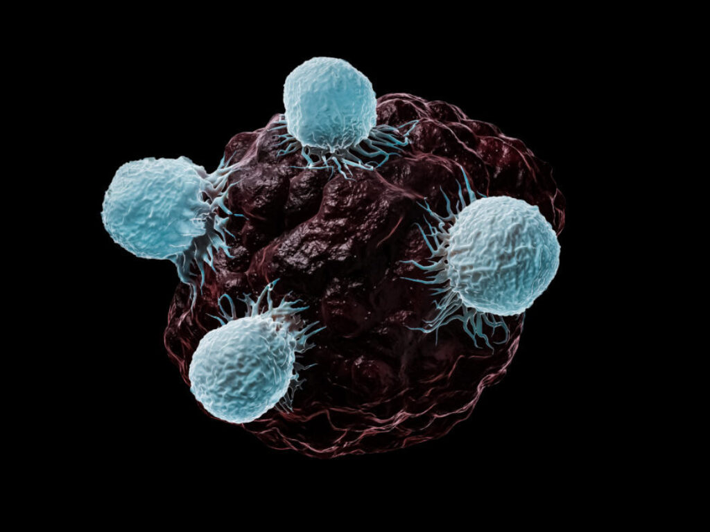 Cellular Therapies Attack