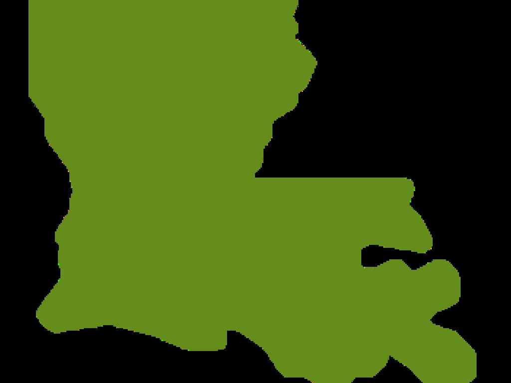 Louisiana AACI