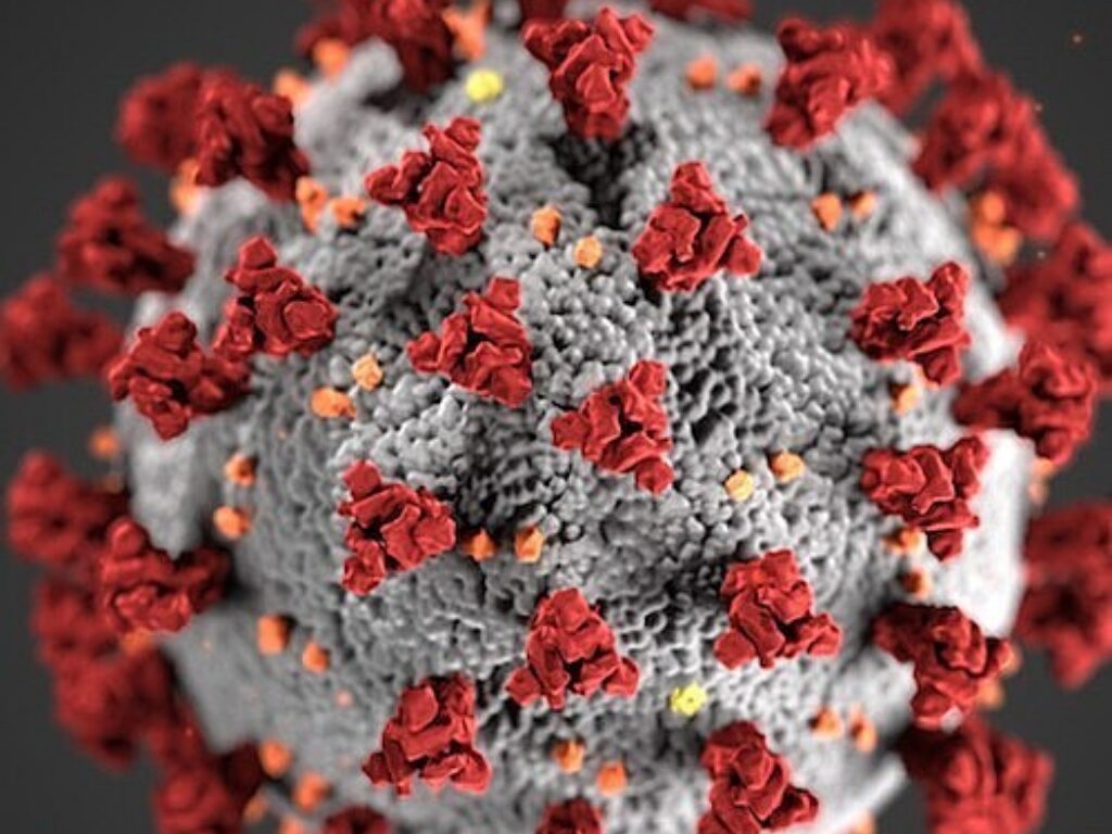 AACI Announces Member Forum for COVID 19 Discussion