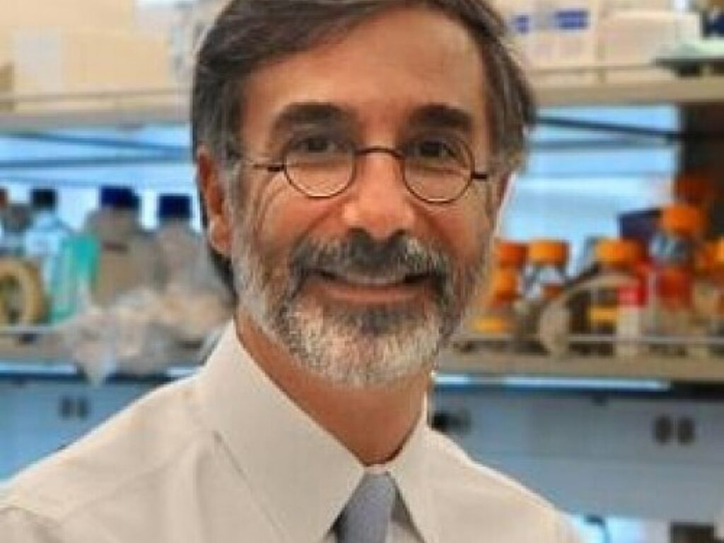 Boosting Stem Cell Activity Can Enhance Immunotherapy Benefits