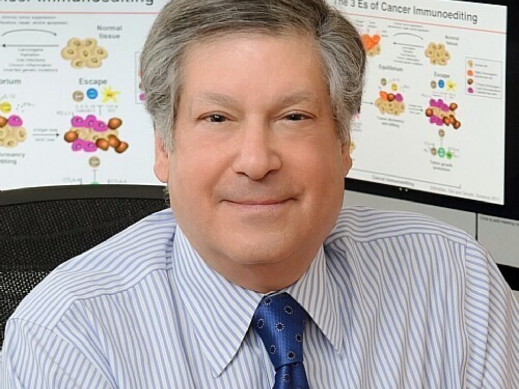 Clues to Improve Cancer Immunotherapy Revealed