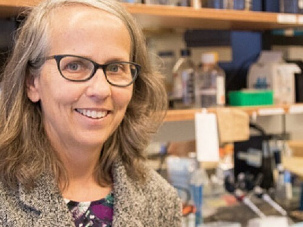 Hazlehurst Named Associate Director