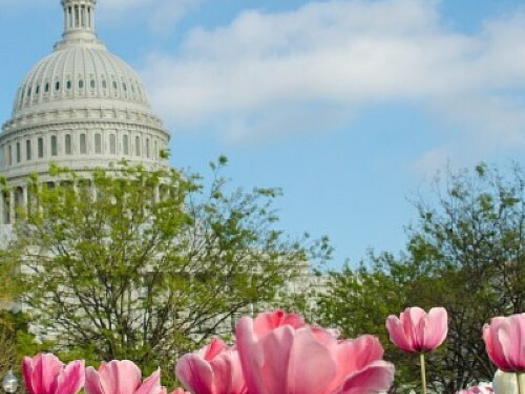 Join Us at Hill Day to Advocate for Cancer Research