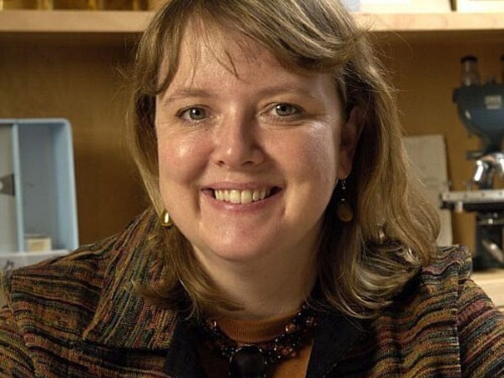 Macleod Named Associate Director for Basic Sciences