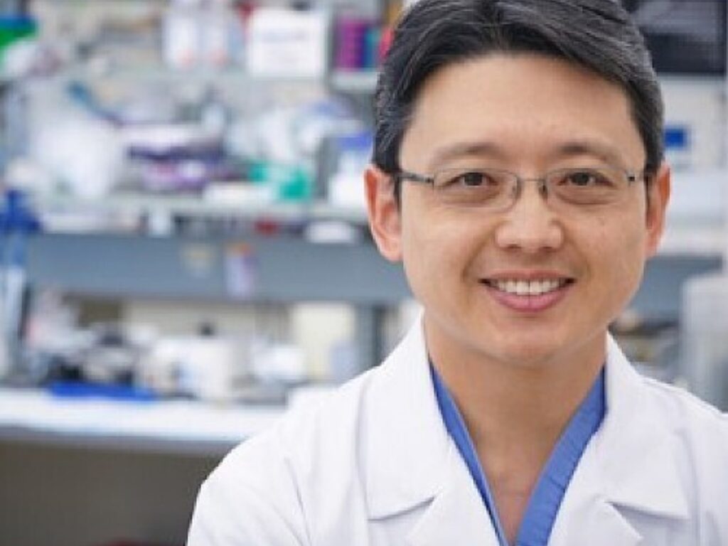 New Strategy for Overcoming Resistance to Immunotherapy Unleashes Power of Dendritic Cells