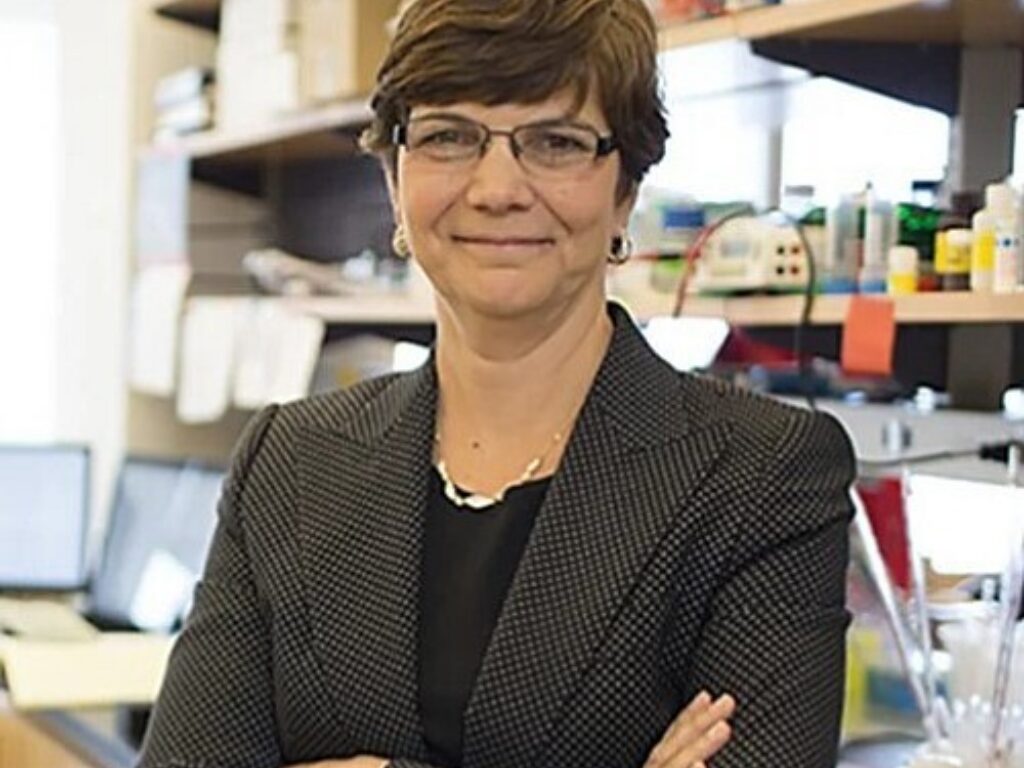 Simeone Named New Director of UC San Diego Moores Cancer Center