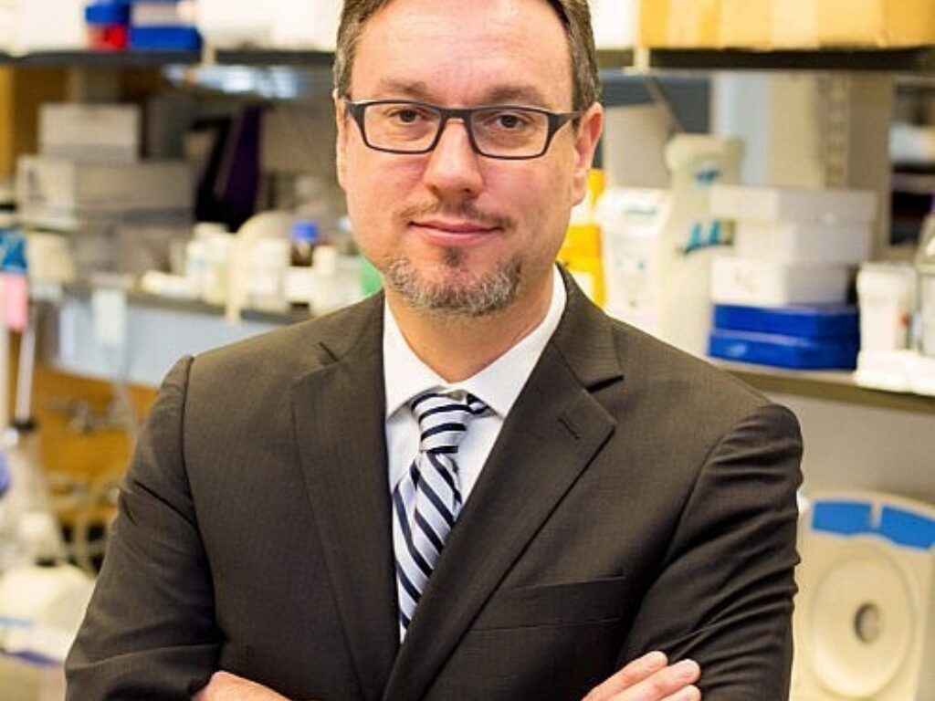 Stegh Named Brain Tumor Center Research Director