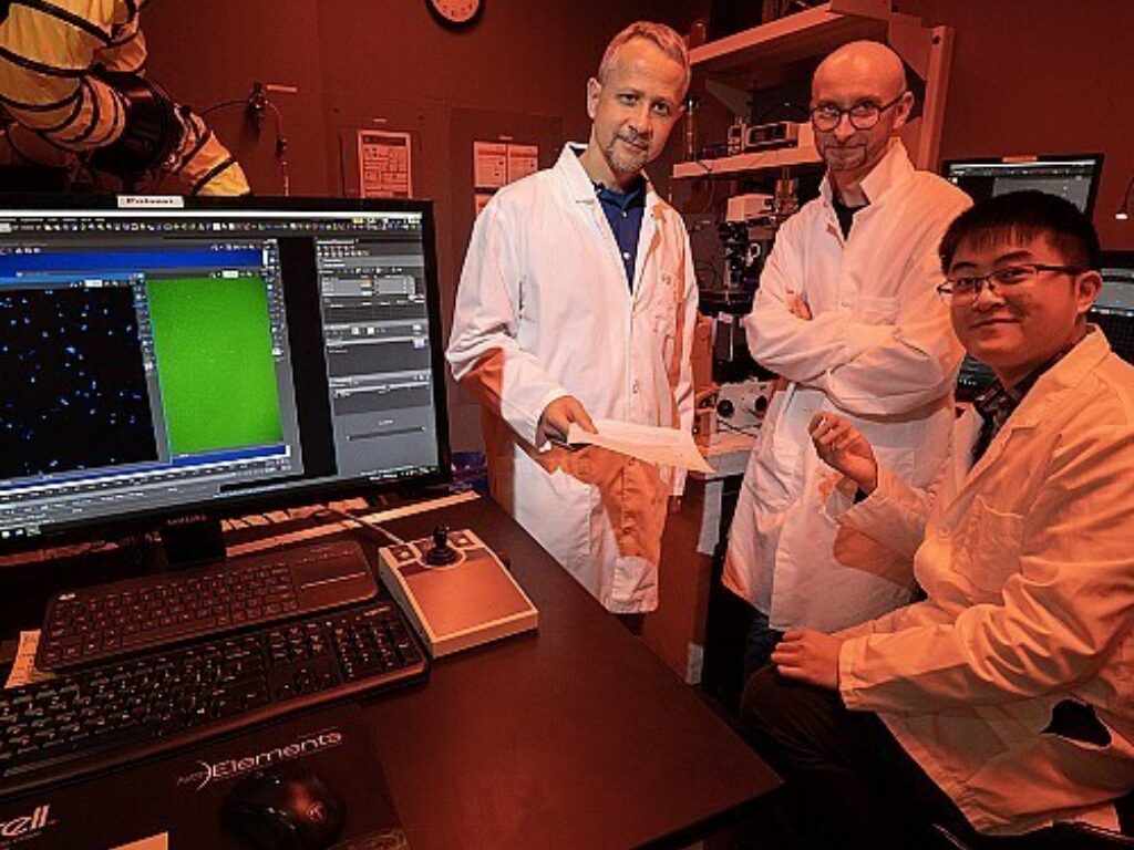 Turning Drug Resistance Against Itself