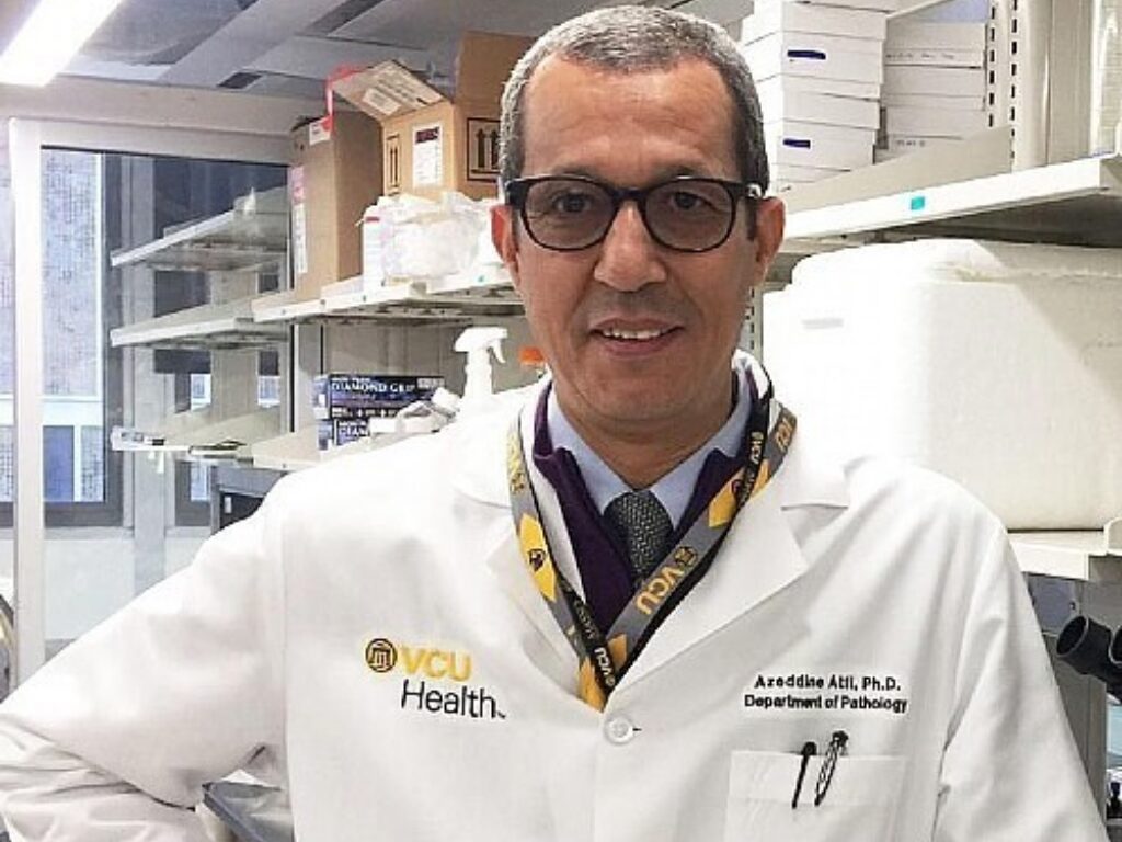 Two Research Programs Merged Into New Cancer Biology Program