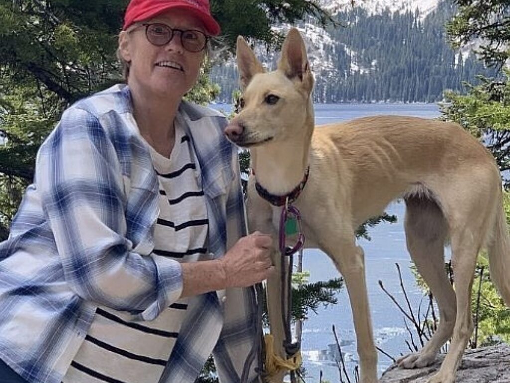 Vanderbilt Ingram Patient First for New Cell Engineering Platform