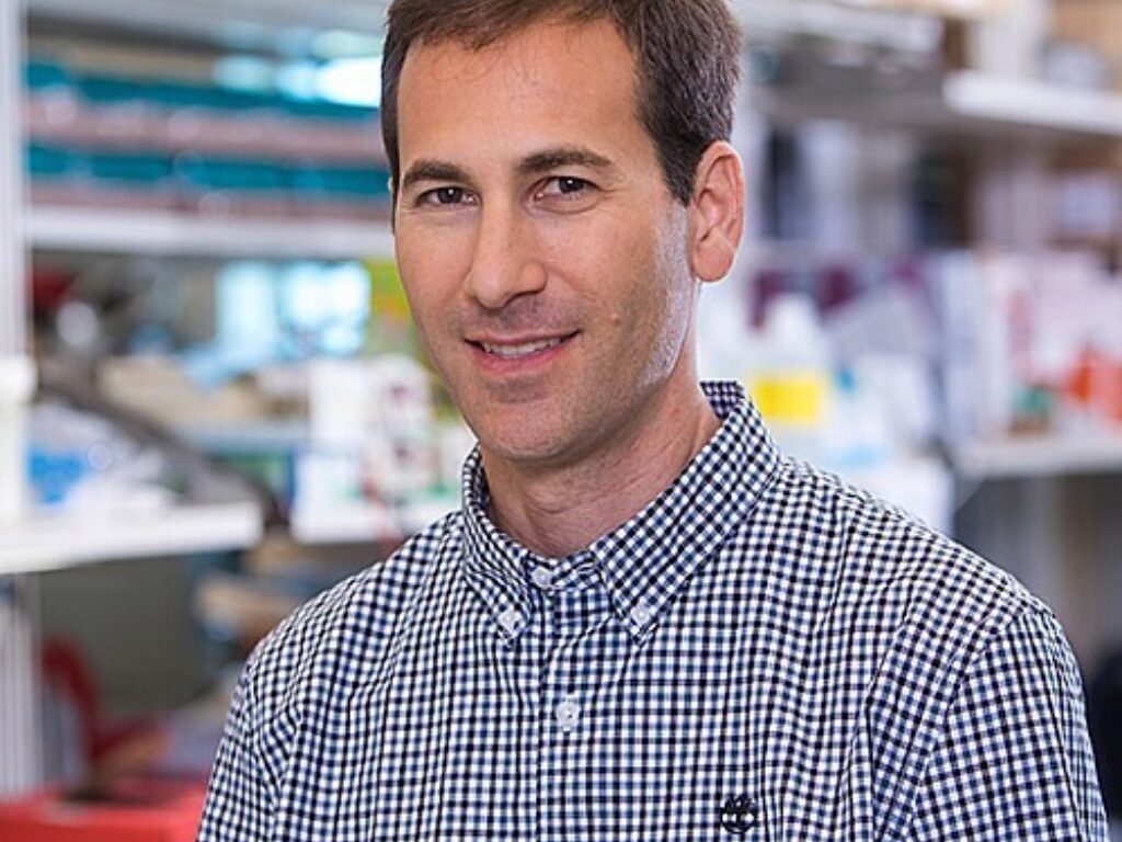Welford Named Tumor Biology Research Program Co Leader