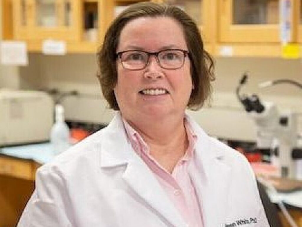 White Elected as a Fellow to the AACR Academy