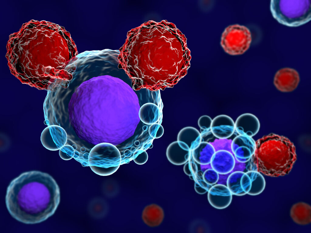 Cell therapy scaled