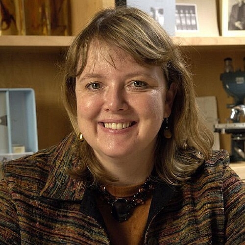 Macleod Named Associate Director for Basic Sciences