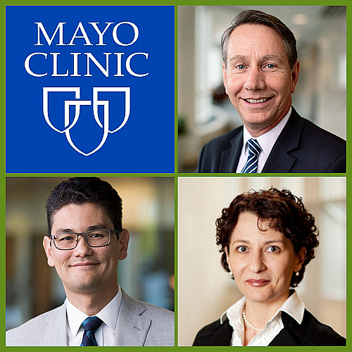 Mayo Announces New Leadership Structure