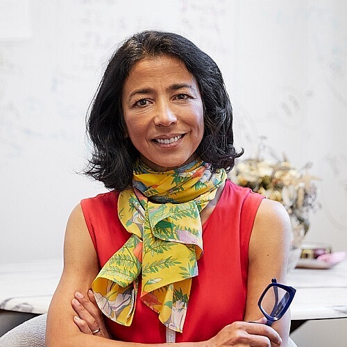 Merad Named Fellow of AACR Academy