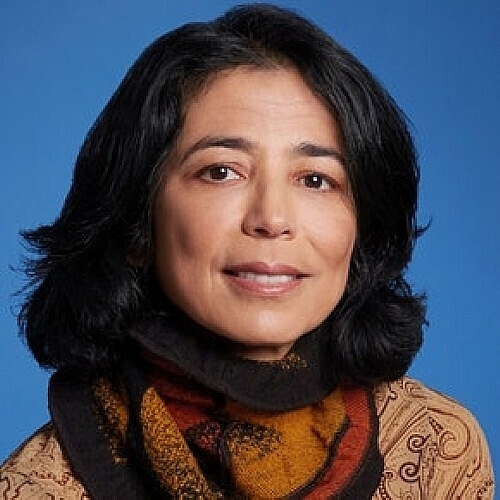 Merad Elected to National Academy of Medicine