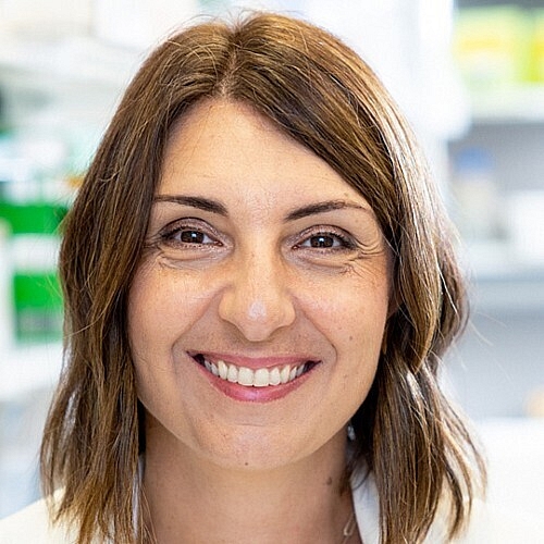 Mount Sinai Launches Institute for Regenerative Medicine