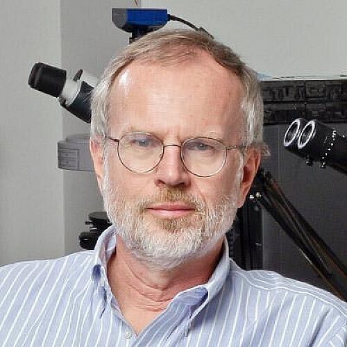 Nusse Receives Gairdner International Award