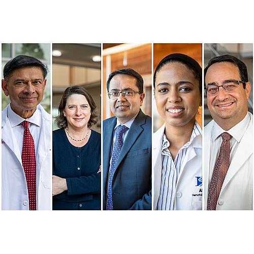 New Endowed Chair and Fellowship Holders and Renewed Endowed Chairs