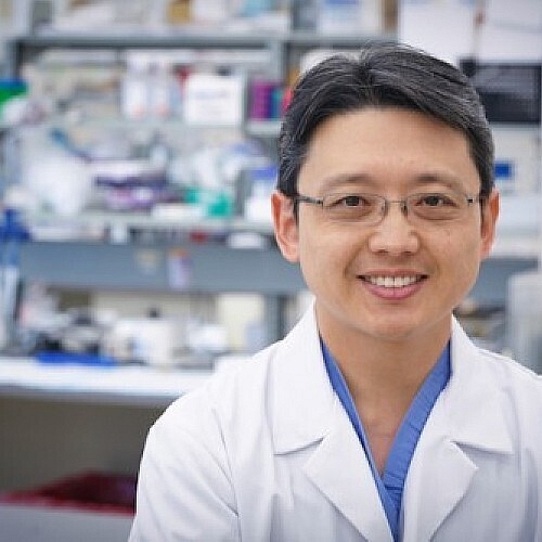 New Strategy for Overcoming Resistance to Immunotherapy Unleashes Power of Dendritic Cells