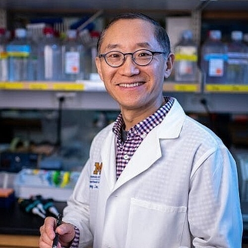 New Target Found to Improve Response to Cancer Immunotherapy