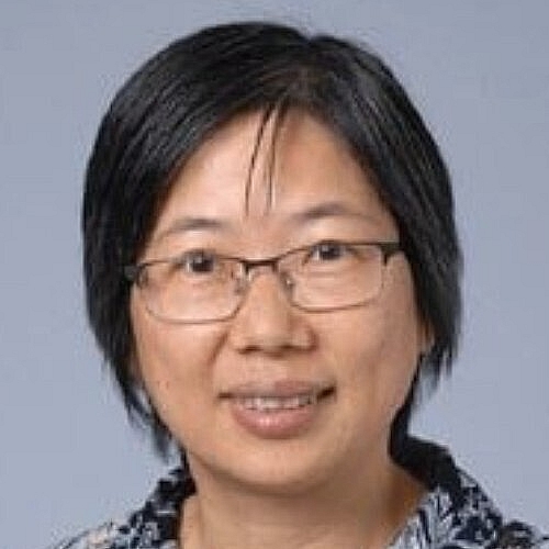 Novel Role in Spatial Chromosome Organization Identified for Frequently Mutated Cancer Protein