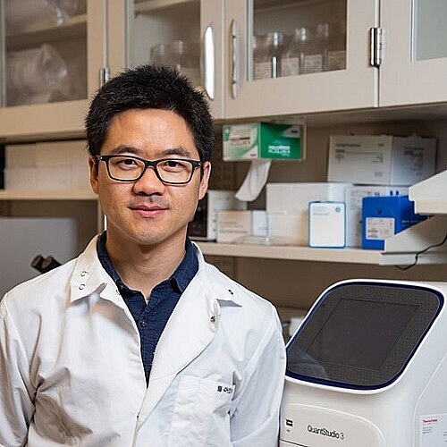 Once a Coronavirus Vaccine Exists Mailable Patch Could Deliver It to Millions