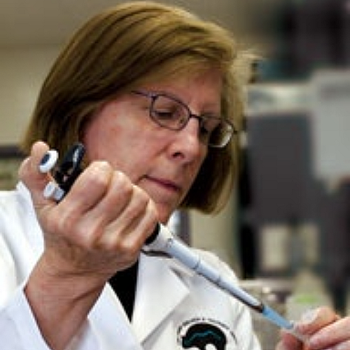 Osley Appointed to NCI Board for Basic Sciences