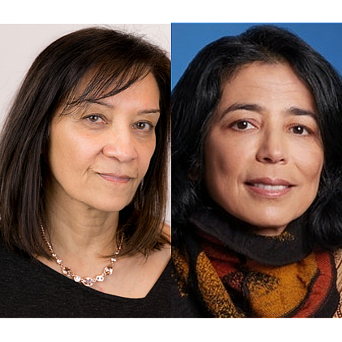 Bhardwaj Merad Named Academy of Immuno Oncology Fellows