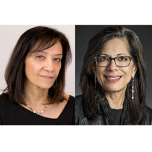 Bhardwaj Jaffee Appointed Associate Directors of the Cancer Research Institute Scientific Advisory Council