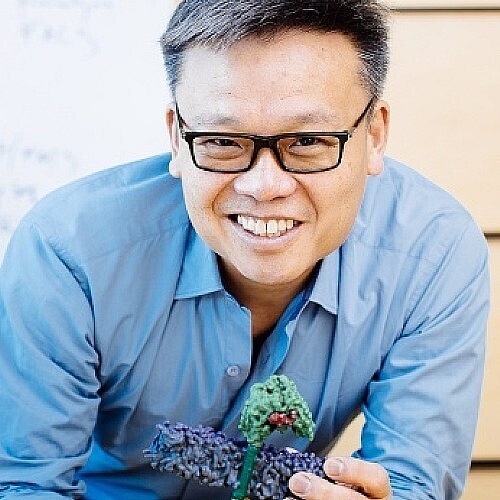 Big Data Powers Design of Smart Cell Therapies