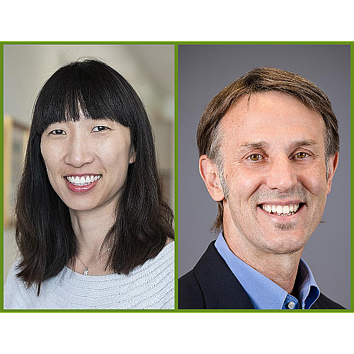 Boosting Public Health Programs With Technology