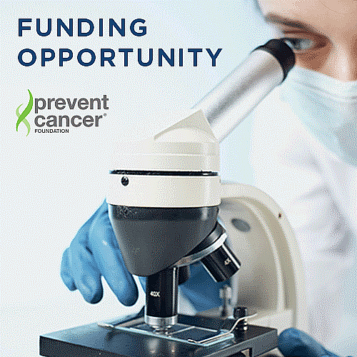 Call For Research Grant and Fellowship Proposals