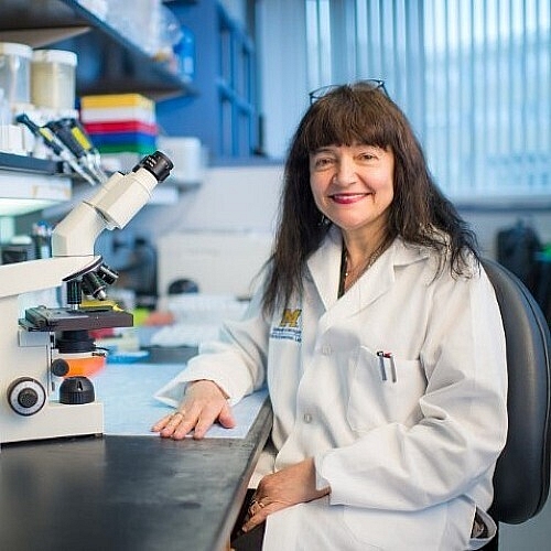 Castro Inducted Into 2023 Class of AIMBE College of Fellows