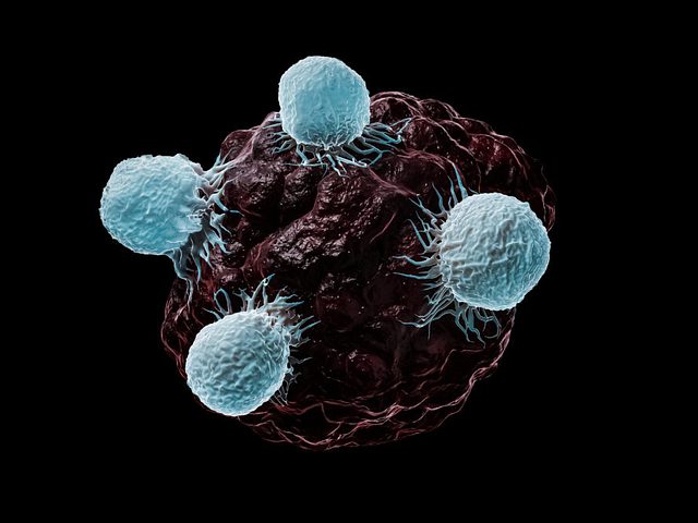 Cellular Therapies Attack