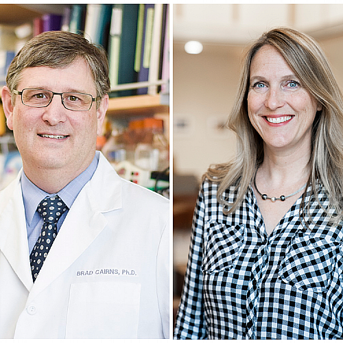 Chief Academic Officer Senior Director of Basic Science Named