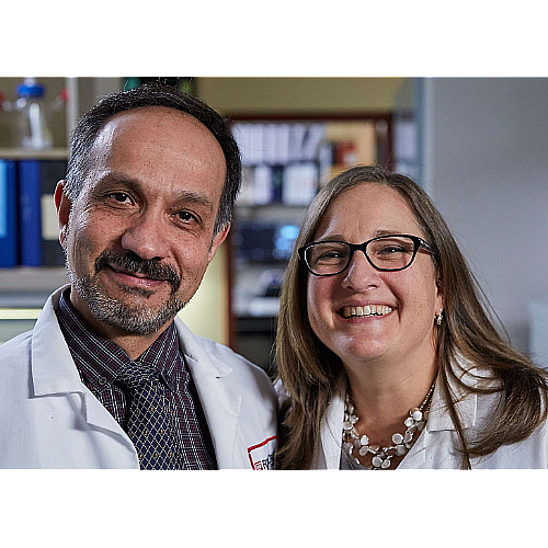 Clinicians Named to List of Worlds Most Highly Cited Researchers