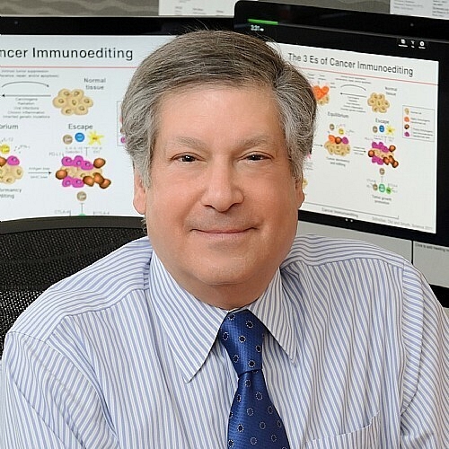 Clues to Improve Cancer Immunotherapy Revealed