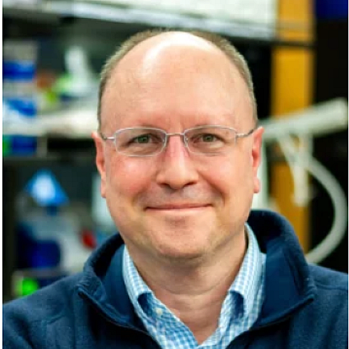 Fehniger Appointed to Lymphoma Research Foundation Advisory Board