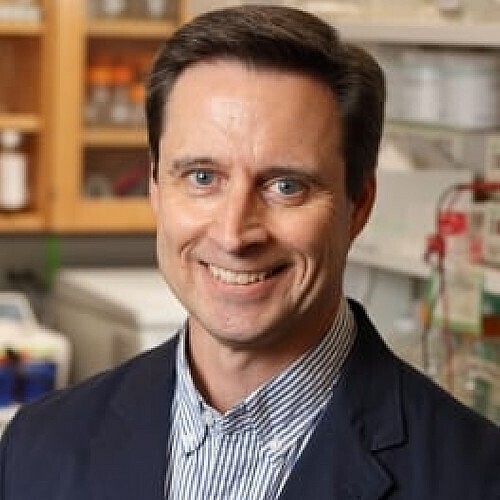 Focused Ultrasound Opening Brain to Impossible Treatments