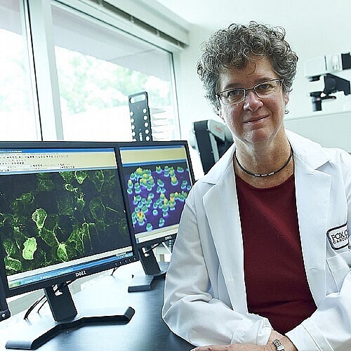 Golemis Appointed Senior Editor for e Life