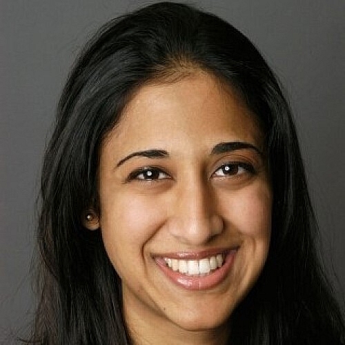 Goyal Named ACS Researcher of the Year